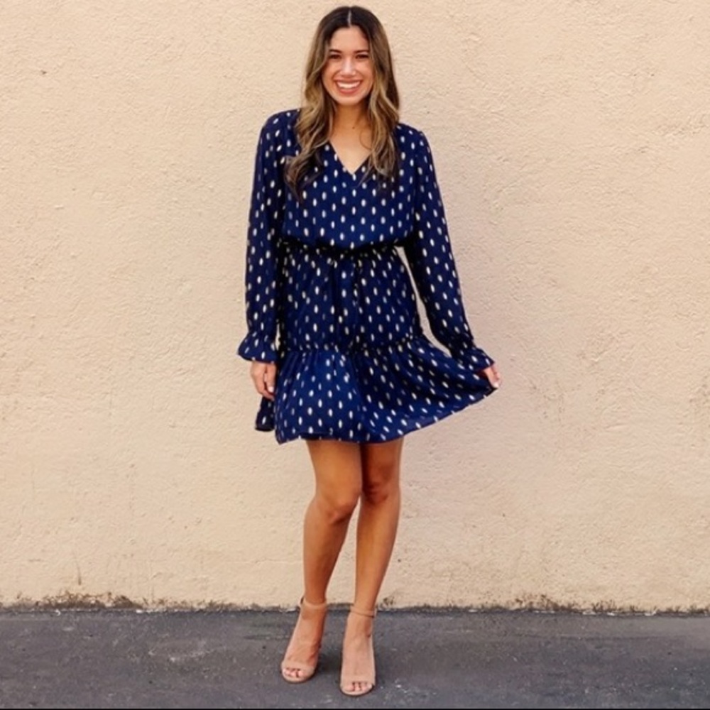 NWT Skies are Blue ruffle dress